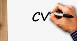 Szukasz pracy? Te wzory CV zainteresują pracodawcę