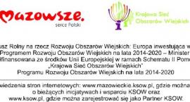 Pszczoły w centrum uwagi