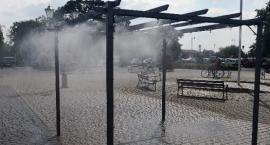 Plac Kościuszki - urząd zadbał o ludzi i zwierzęta