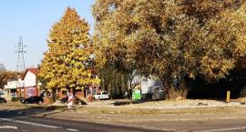 Parking przy al. 600-lecia - jest inwestycja i drzewa 
