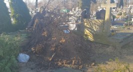 Pawłowice - zniszczony cmentarz, powalone drzewa i połamane słupy [FOTO, WIDEO]