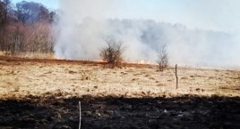 Pożary w gminie Brochów - ogień objął 4 hektary