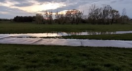 Drzewa na sochaczewskich bulwarach – wiemy kiedy się pojawią