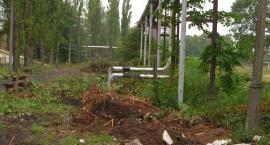 Tartak wokół stadionu – odsłona druga