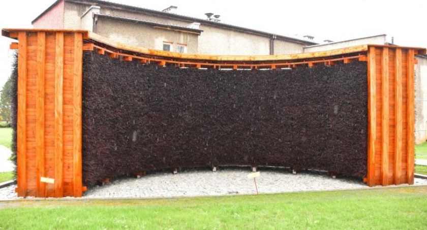 Budzów. Nikt nie chciał wybudować tężni