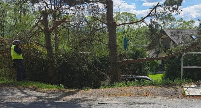 Żarnówka: Tragiczny w skutkach wypadek drogowy 