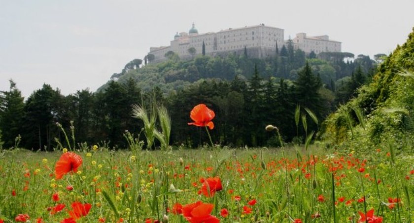 Monte Cassino – upamiętnienie w 79. rocznicę bitwy