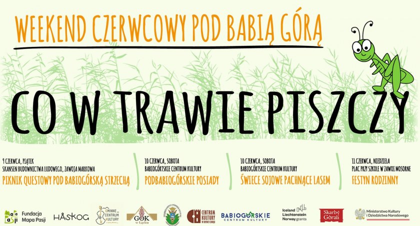 Co w trawie piszczy pod Babią Górą 