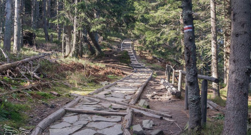Babia Góra: Zamknięto czerwony szlak 