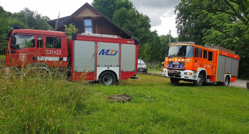 Żmije podniosły alarm 
