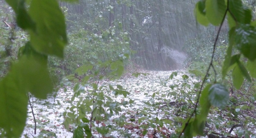 Meteorolodzy zapowiadają burze z gradem 
