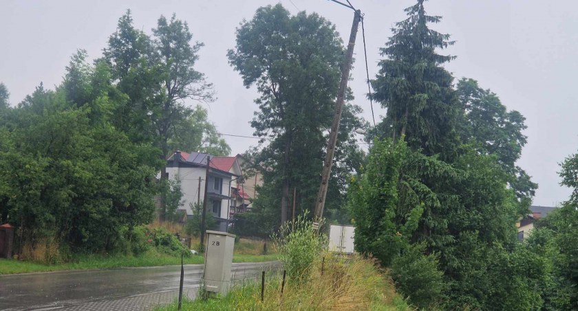 Drzewa na ulicy Kolejowej są niczym tykająca bomba