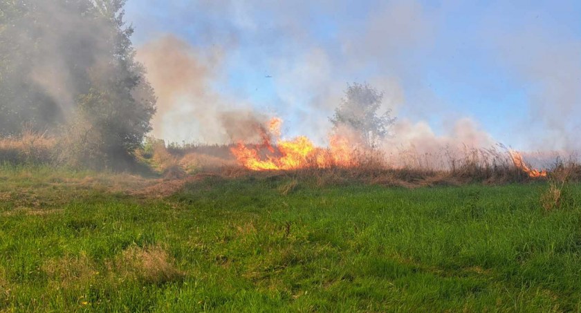 Bystra Podhalańska: Typowo wiosenny pożar latem 