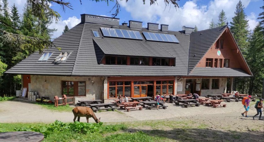 Babiogórski Park Narodowy apeluje! Nie dokarmiajmy dzikich zwierząt 