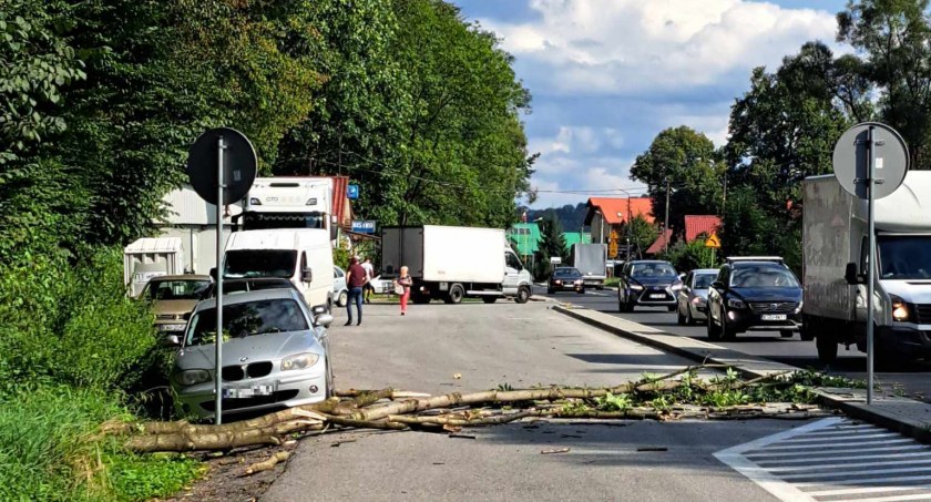 Sucha Beskidzka: Złamało się drzewo. O włos ominęło samochód