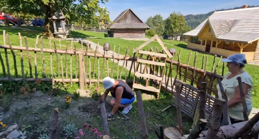 Pod Babią Górą posadzono krokusy. W jakim celu? (video)