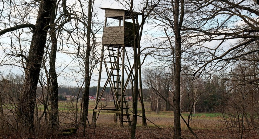 Koło Łowieckie Odyniec podało daty i miejsca polowań zbiorowych