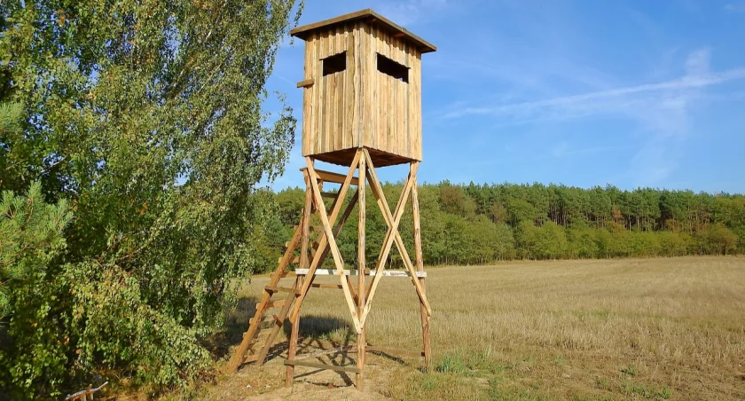 Gdzie będą polowali myśliwi z Koła Łowieckiego 