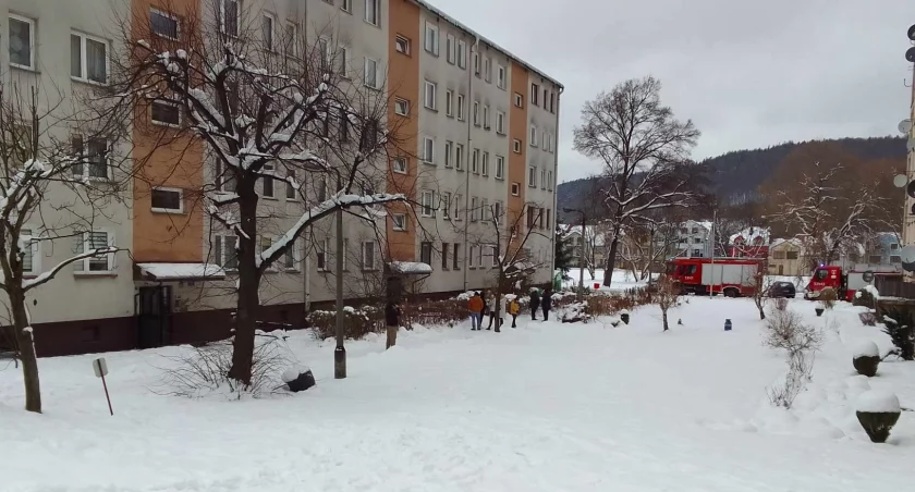 Akcja strażaków na osiedlu Na Stawach