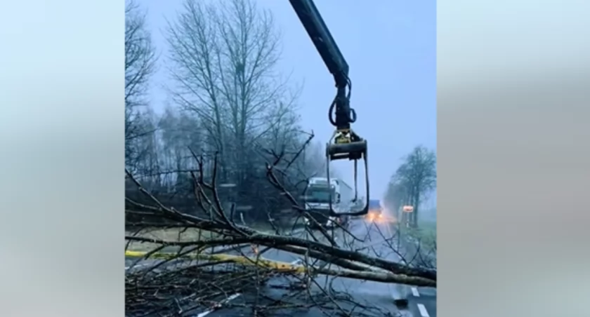 Wyręczył strażaków i udrożnił drogę krajową! (wideo)