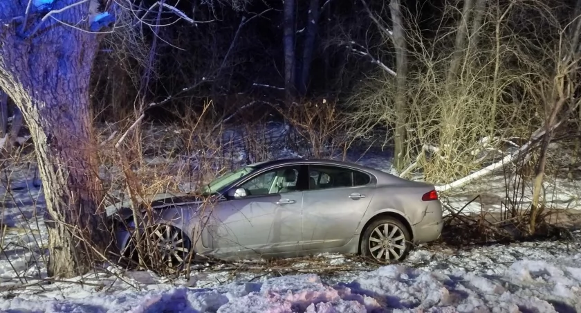 Wjechał jaguarem w drzewo. Był kompletnie pijany 