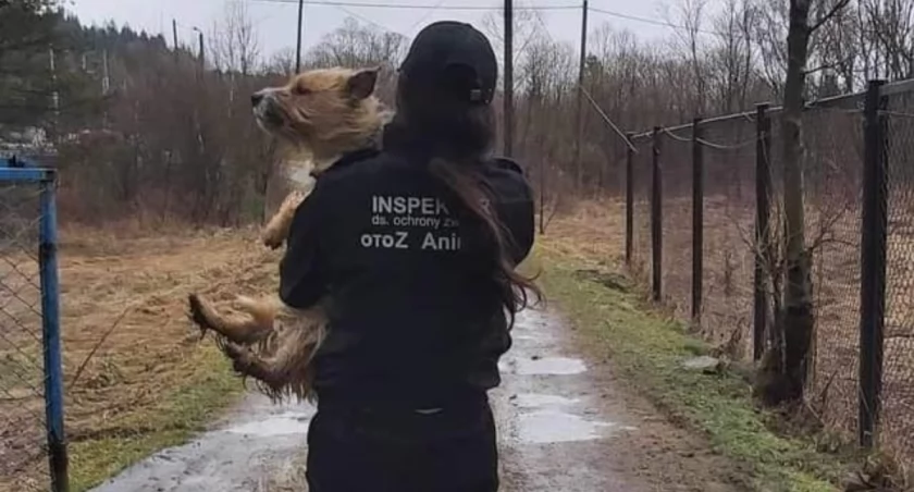 Animalsi odebrali kolejnego czworonoga, ale to nie koniec! 