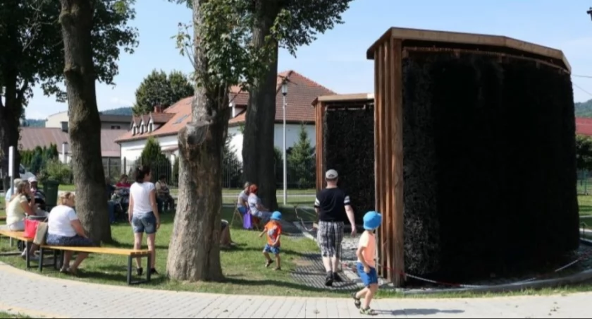 Zgłoś projekt Tężni: Popraw zdrowie swojej społeczności!