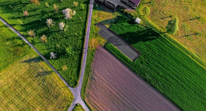 Jak sprawdzić numer działki na mapie?