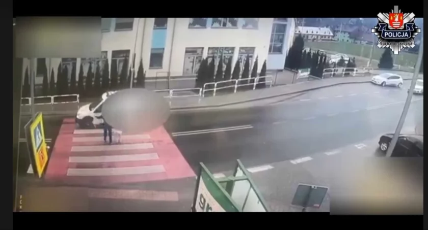 O włos od tragedii na przejściu dla pieszych w Zawoi (wideo)