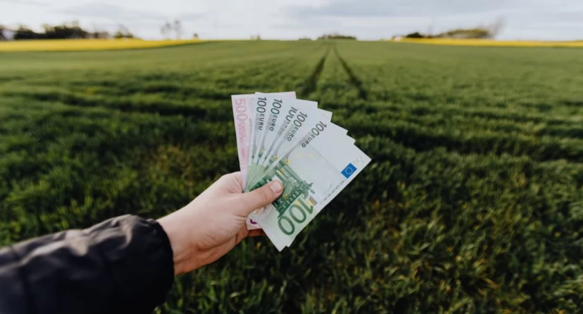 Wolisz wydać na wakacje 1000 zł zamiast 5000 zł? Zobacz, jak możesz oszczędzić 
