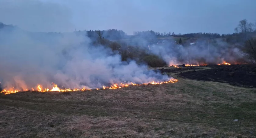 Pożary traw: niebezpieczny nawyk w regionie 