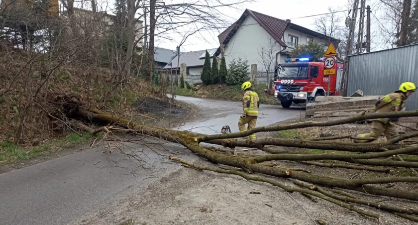 Wiele zdarzeń związanych z silnym wiatrem w powiecie suskim Suchej Beskidzkiej.