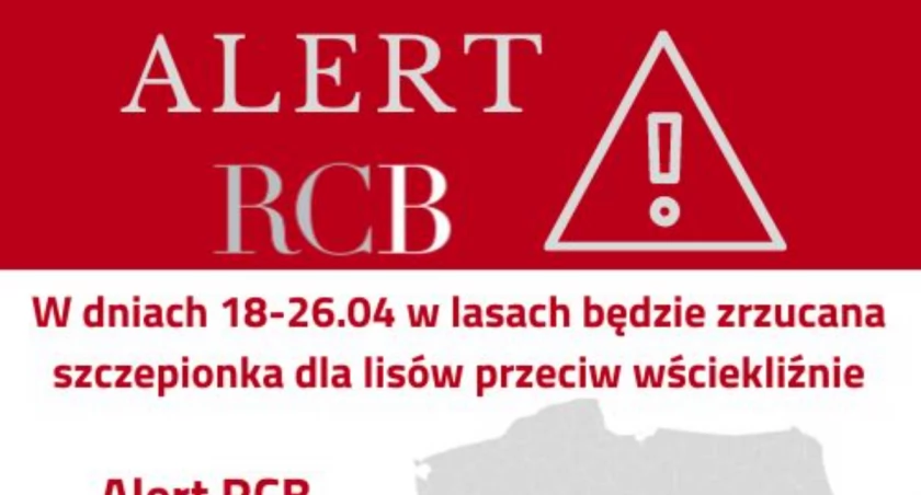 Alert RCB - szczepionki przeciwko wściekliźnie będą zrzucane już od jutra