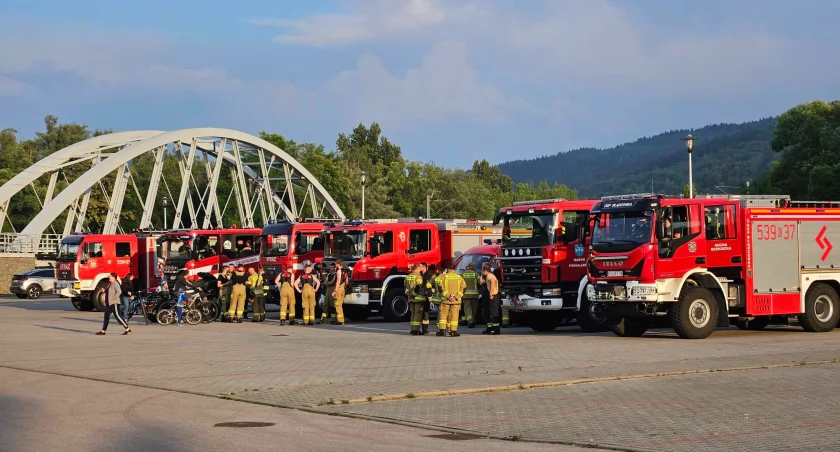 Akcja Fideltronik