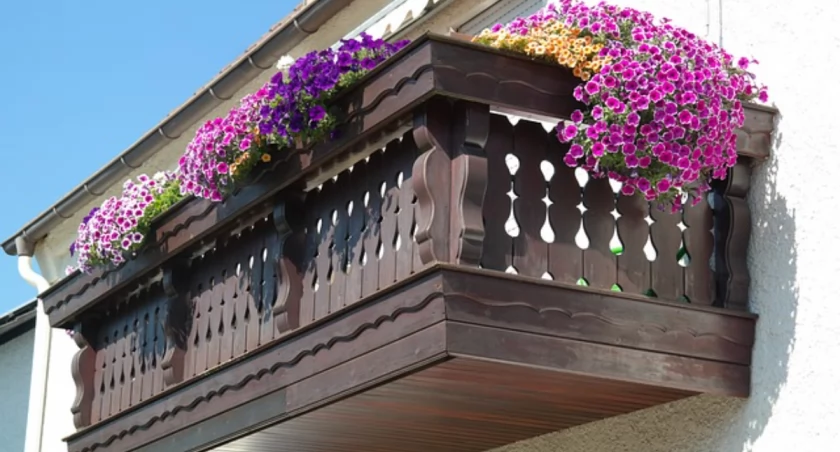 TOP 10 kwiatów na balkon