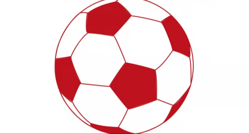 Sonda Euro 2024: Jak zaprezentują się Polacy? Kto mistrzem, a kto wicemistrzem Europy?