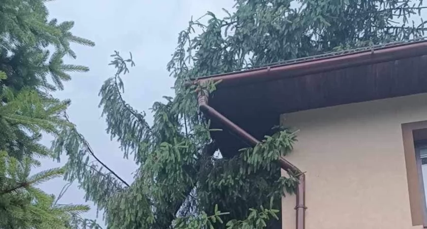 Bardzo niespokojny wieczór w powiecie suskim. Straży interweniowali 13 razy 