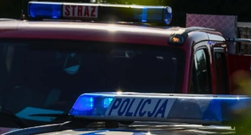 Znamy szczegóły nocnej kolizji w Stryszawie 
