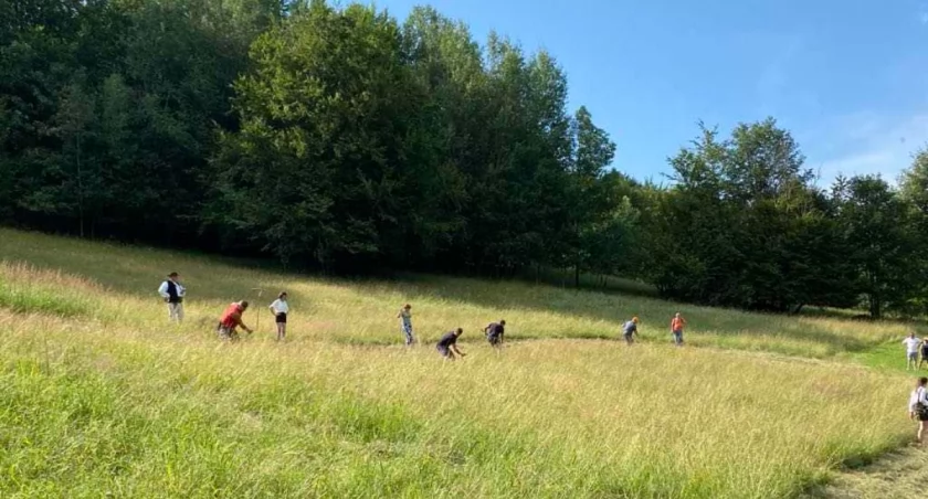 Rodzinny Piknik w Zawoi: tradycja, zabawa i edukacja w Sercu Babiogórskiej Natury
