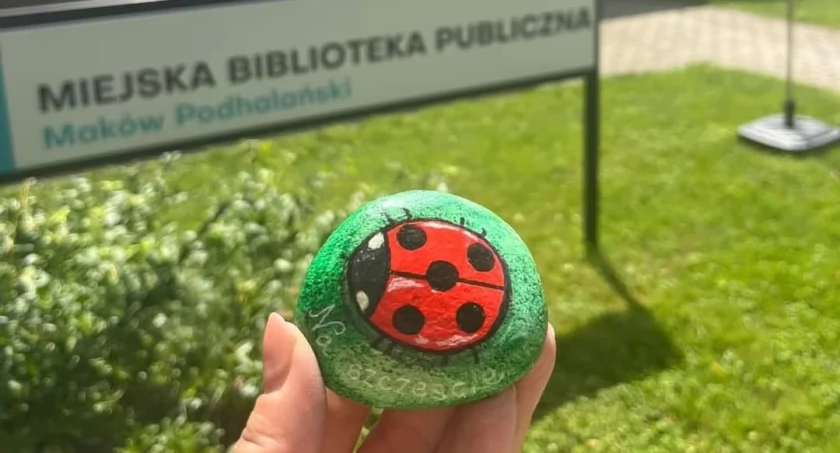 O co chodzi z pomalowanymi kamykami?