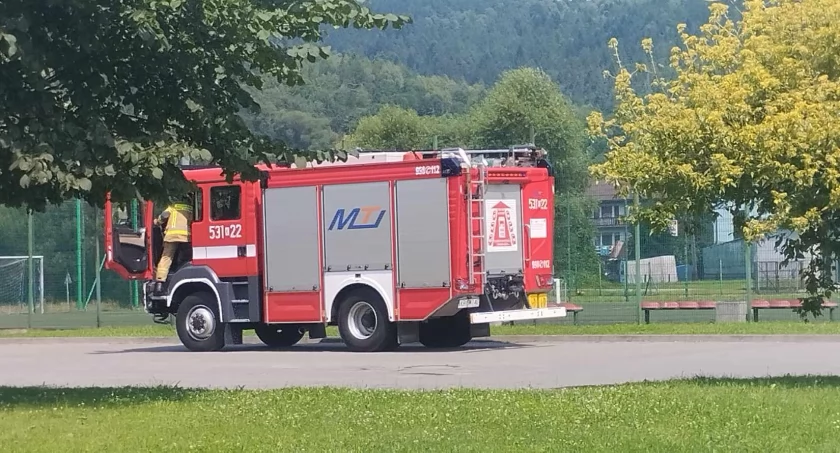 Psa z opałów wybawili strażacy 