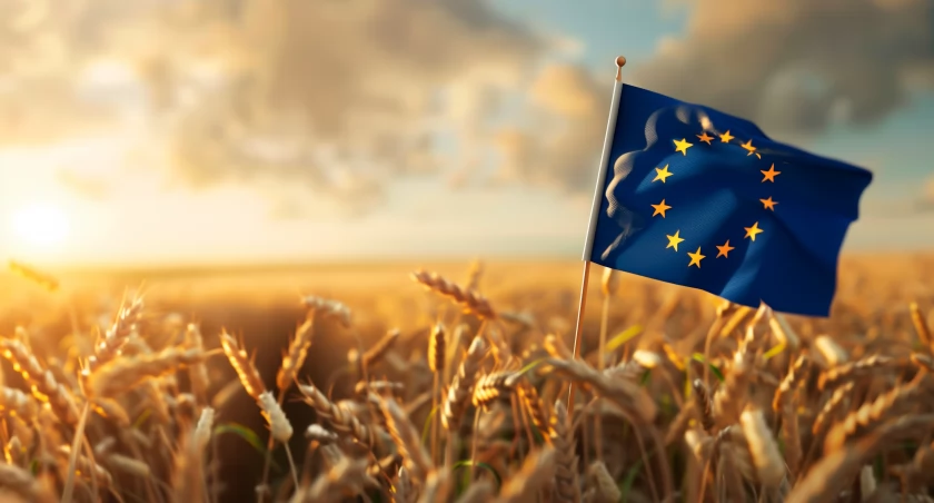 Unijna pomoc żywnościowa w Polsce - wsparcie dla potrzebujących