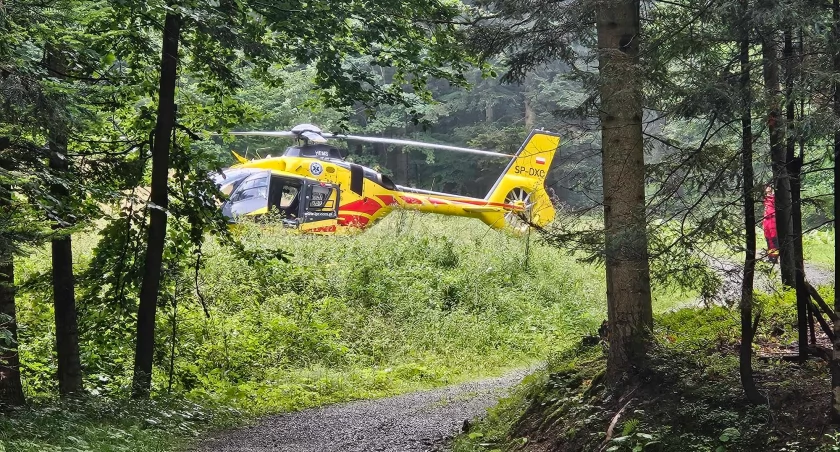 Stryszawa: poważny wypadek w lesie 