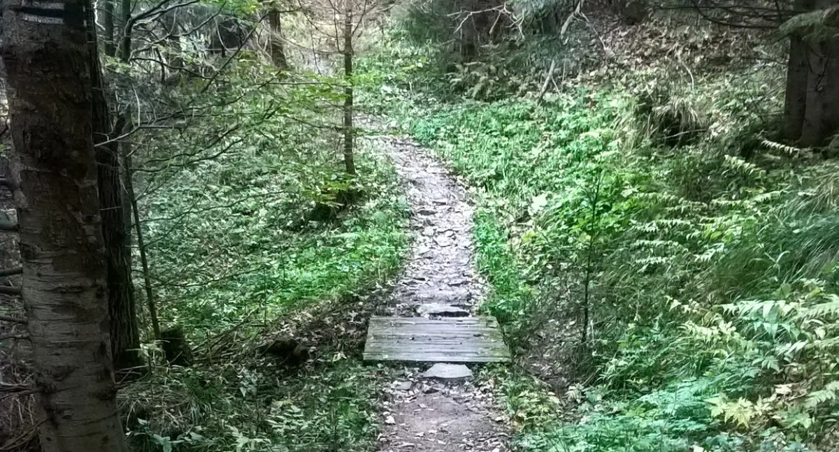 Babia Góra: Remont niebieskiego szlaku