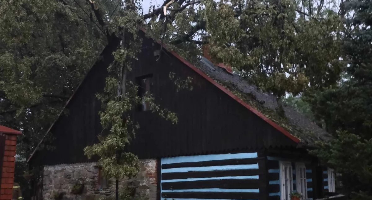Bilans wieczornej burzy w powiecie suskim 