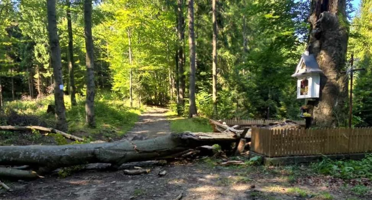 Pomnik Konfederatów Barskich w Żarnówce rozbity. Natura nie miała litości dla historii