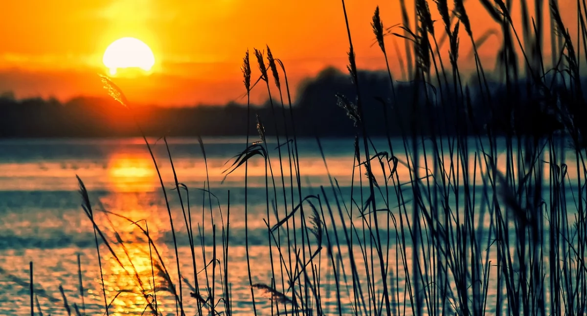 Dlaczego Mazury to najlepsze miejsce na imprezę integracyjną dla Twojego zespołu?