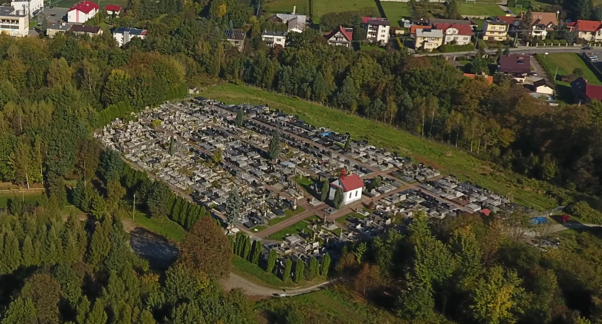 Wierzba płacząca – opowieść z Zembrzyc