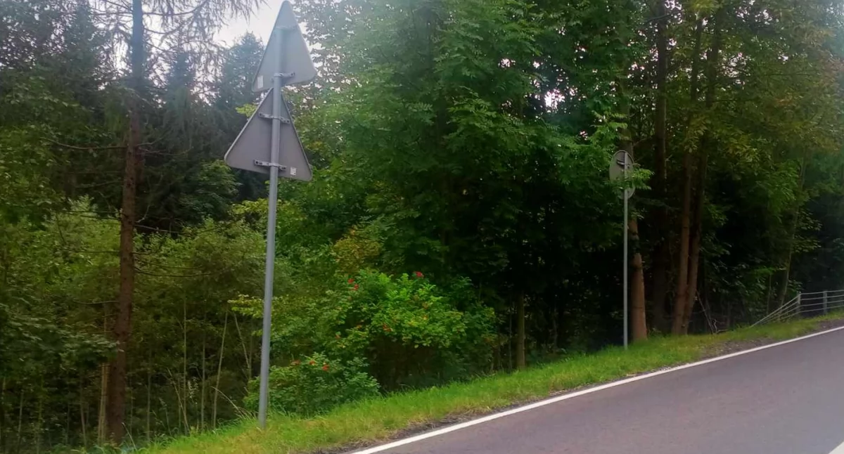 Zawoja: Znaki na opak 