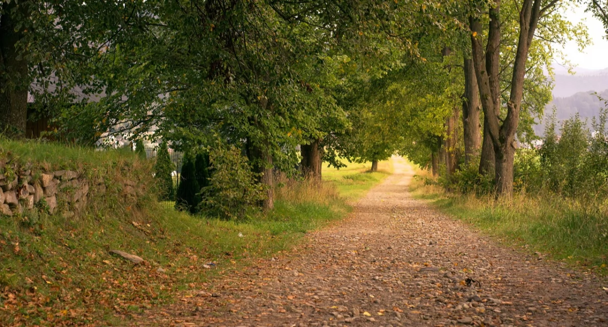 WRZESIEŃ – z kart kalendarza